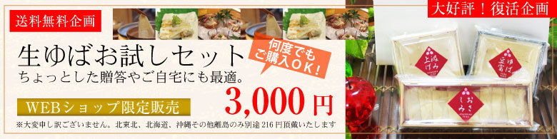 お試し「セット